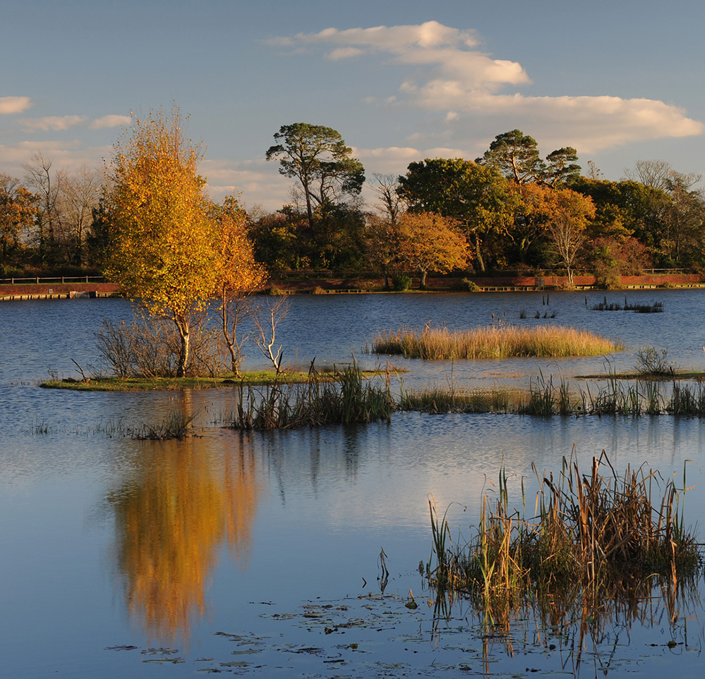Autumn Hatchet Pond